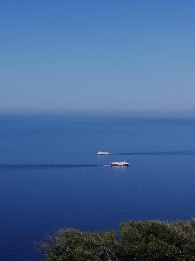 Aegean Deep Blue Andros Ano Aprovato Lejlighed Eksteriør billede